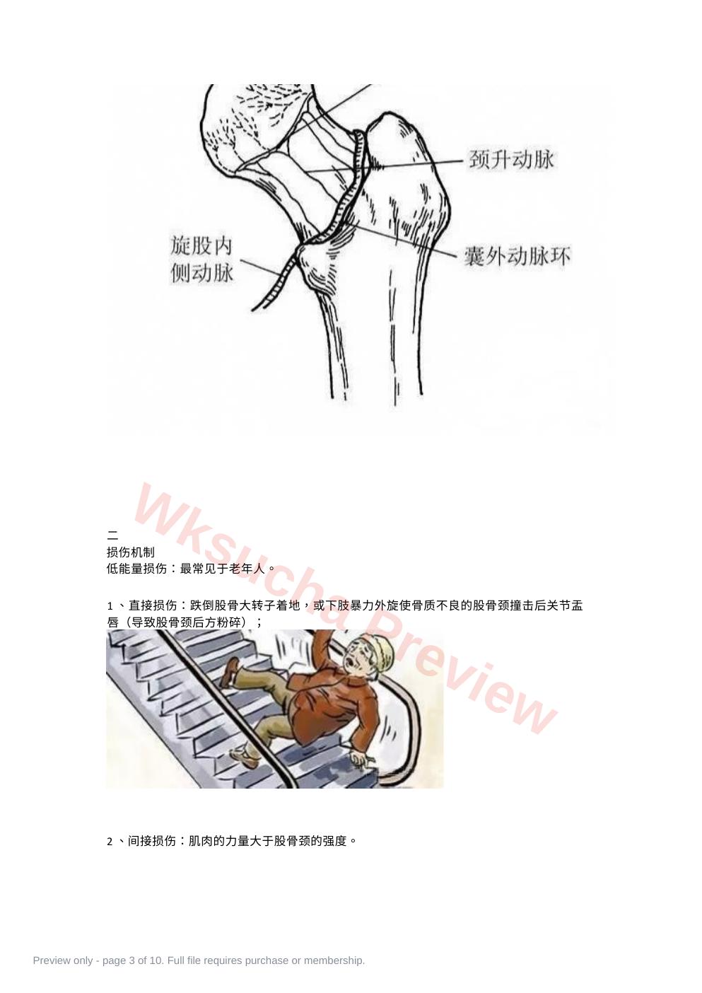 预览第 3 页