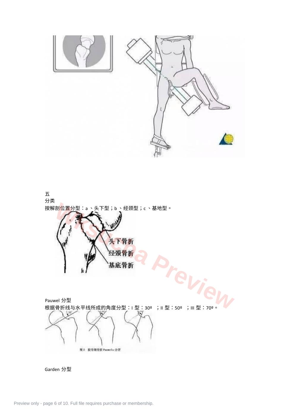 预览第 6 页