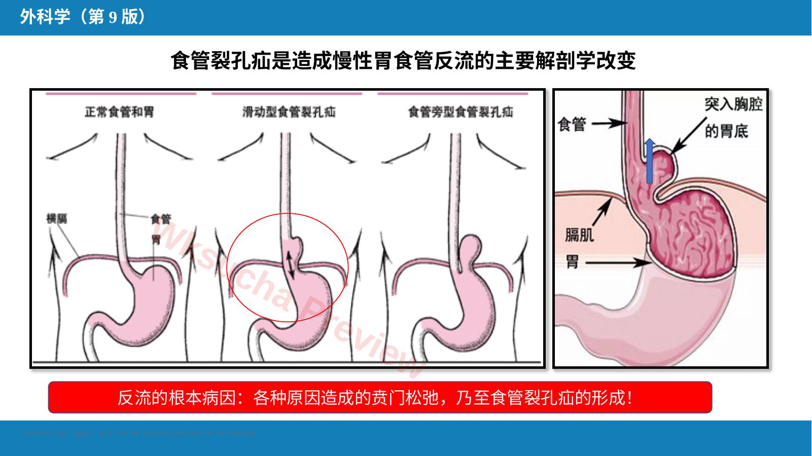 预览第 7 页