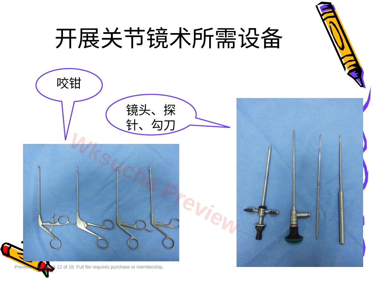 预览第 12 页