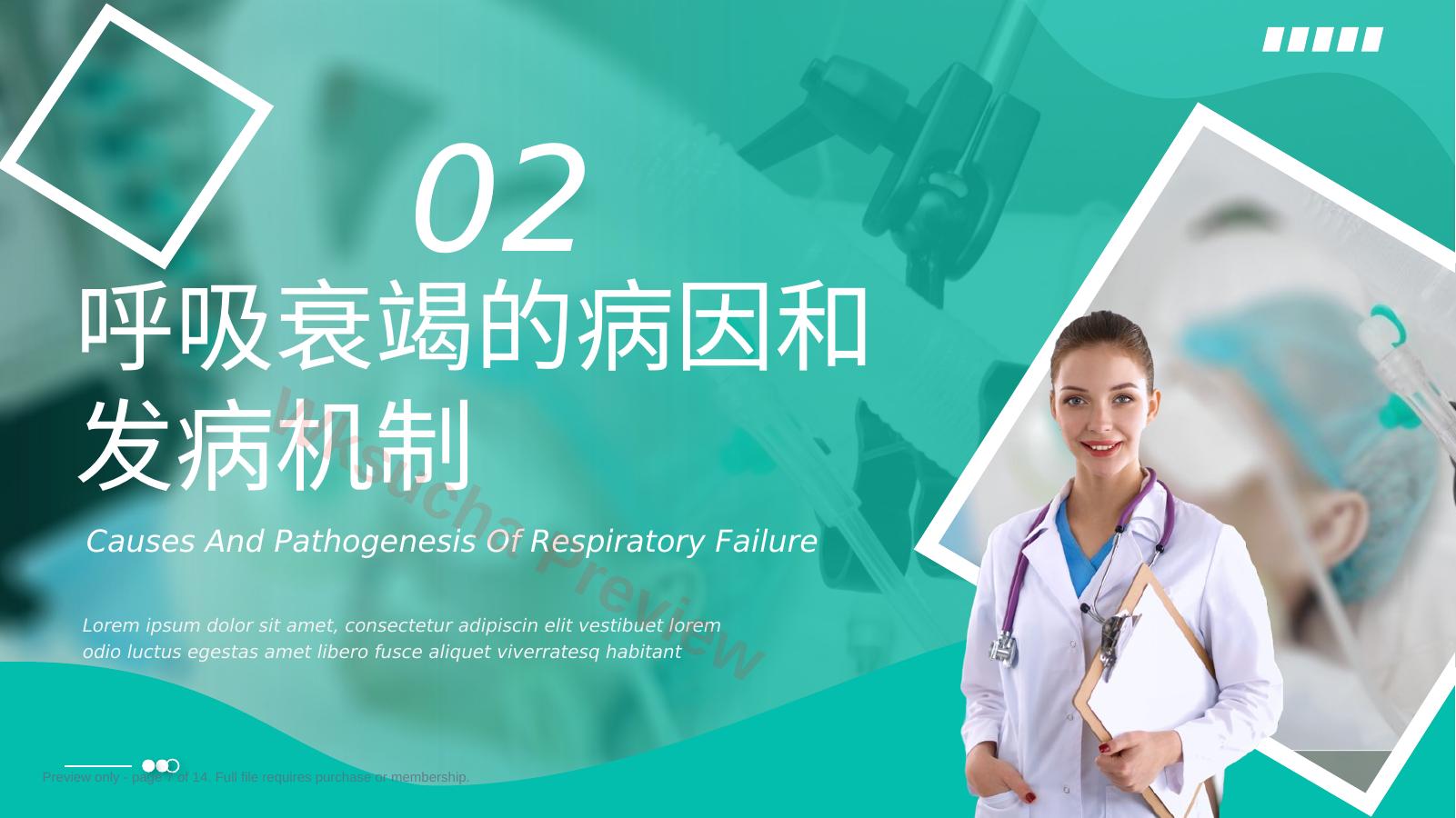 预览第 7 页
