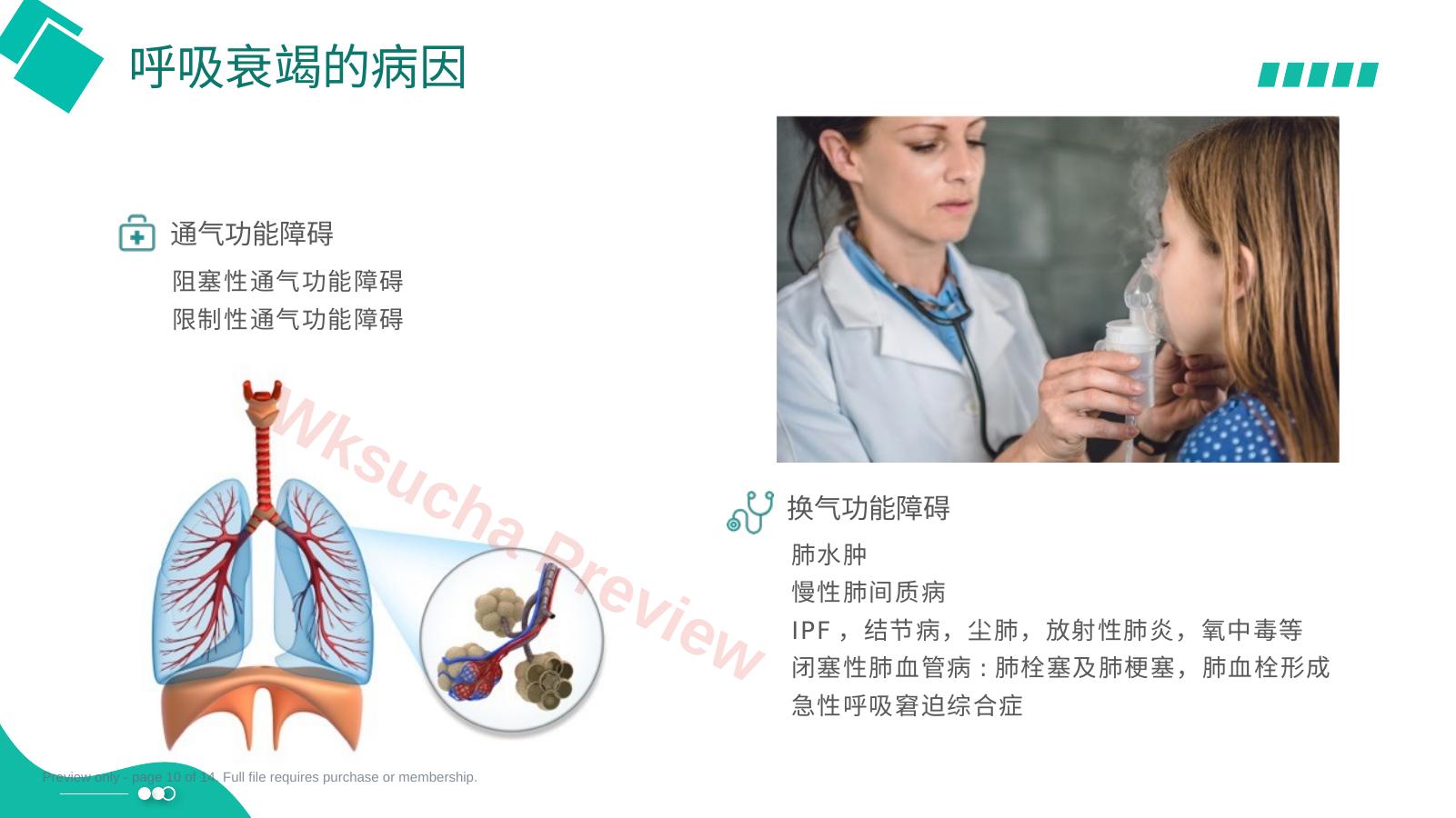 预览第 10 页