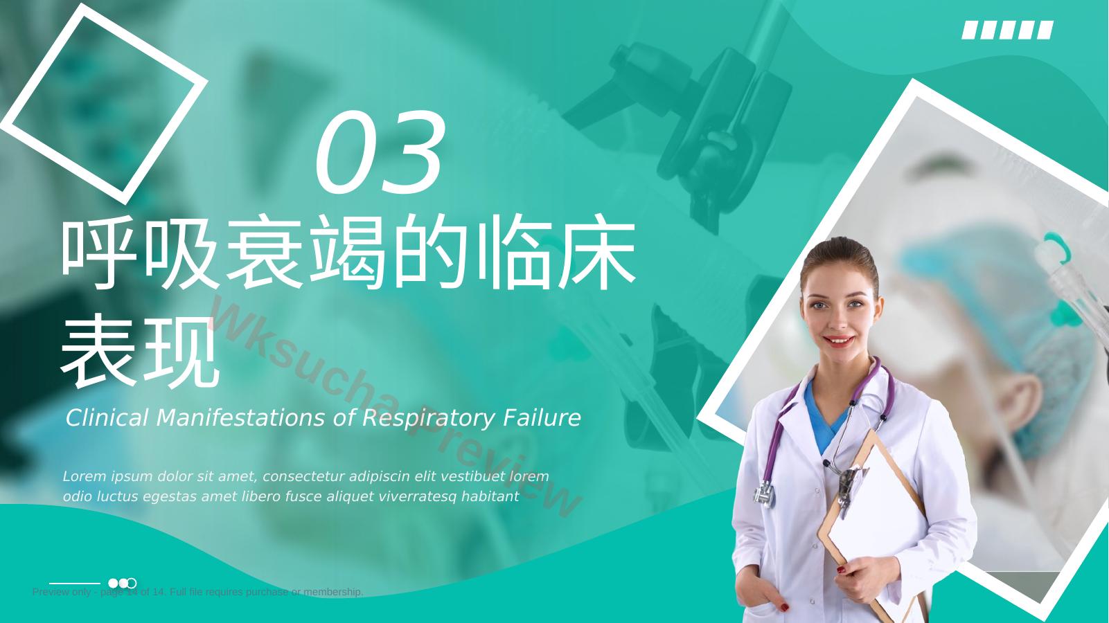 预览第 14 页