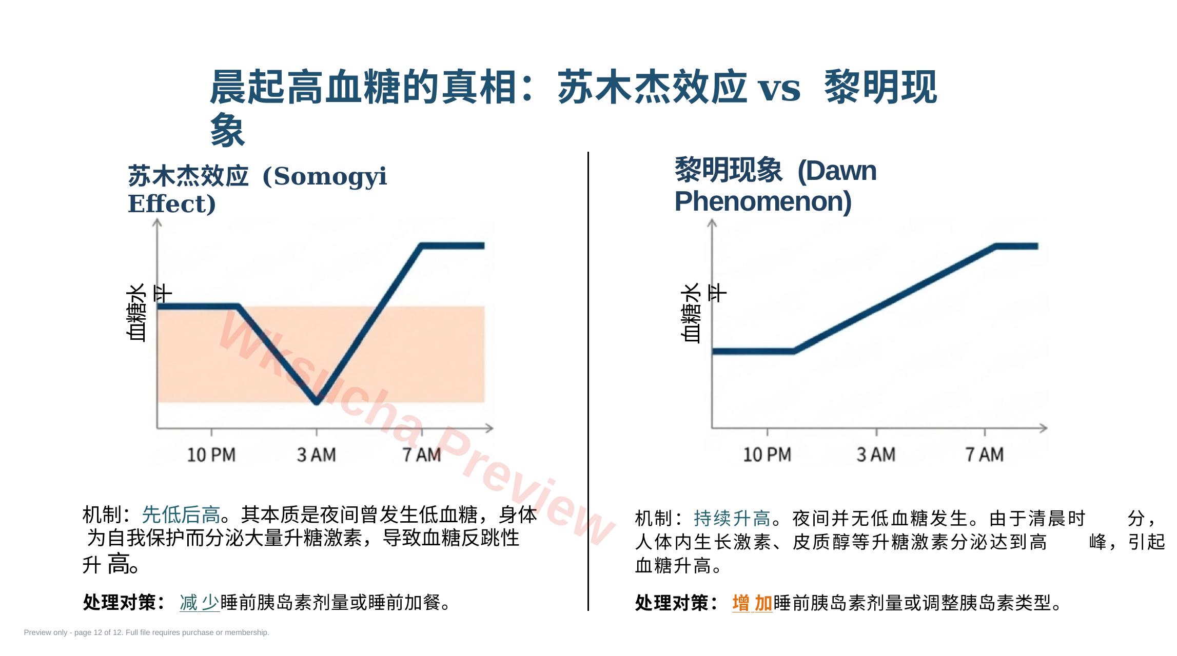 预览第 12 页