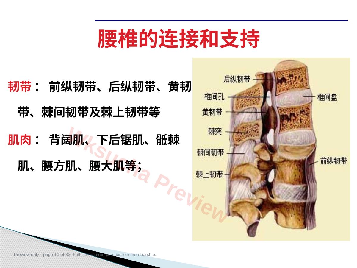 预览第 10 页
