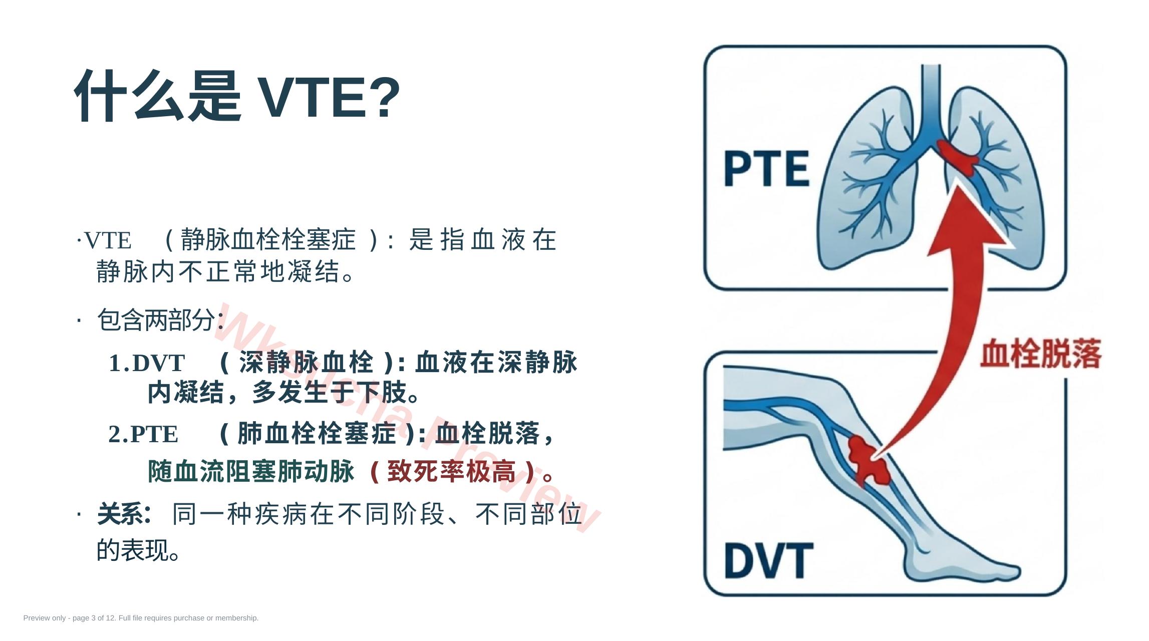 预览第 3 页