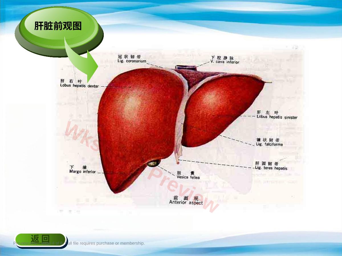 预览第 4 页