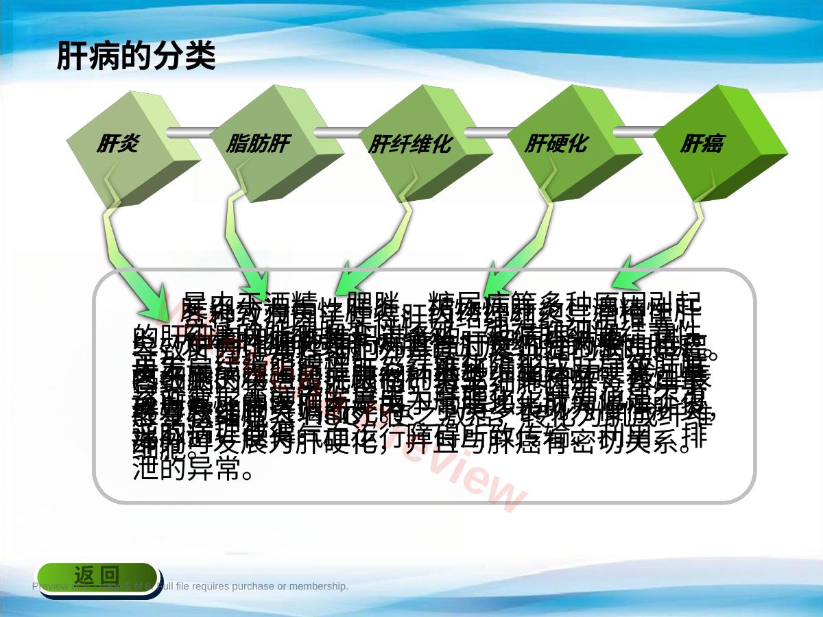 预览第 5 页