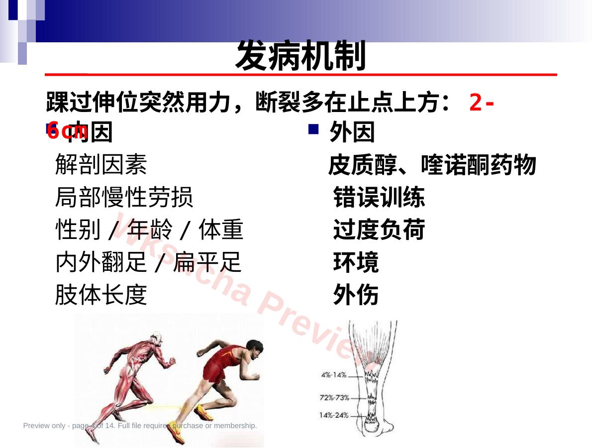 预览第 4 页