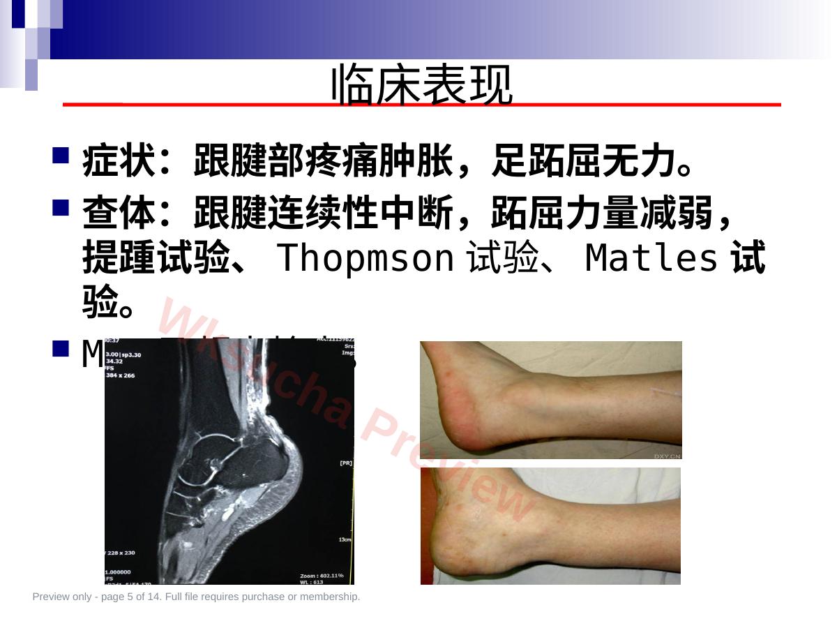 预览第 5 页