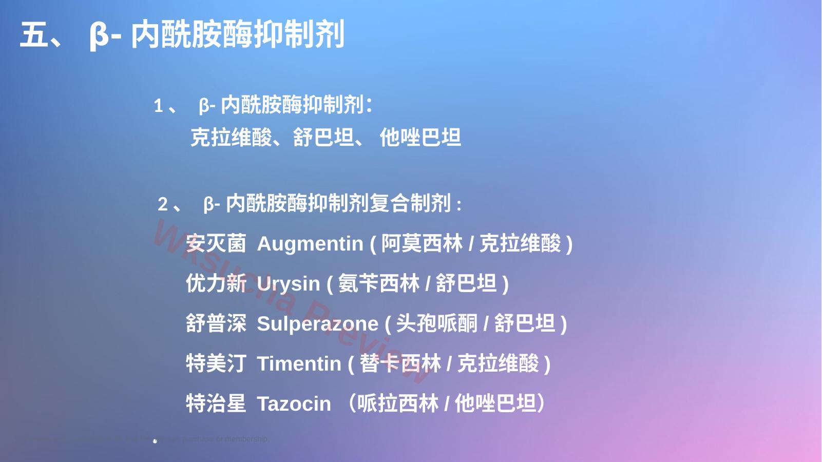 预览第 13 页