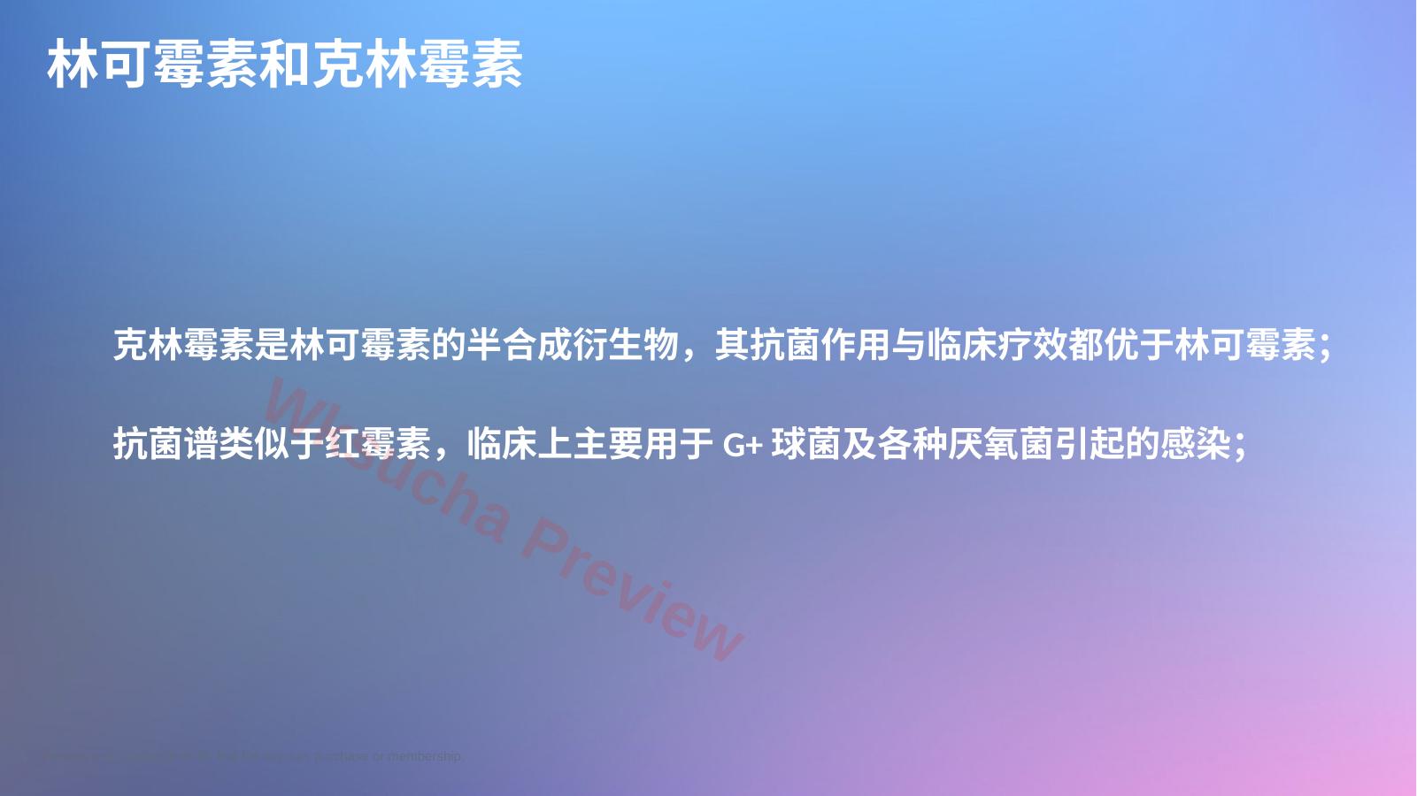 预览第 28 页