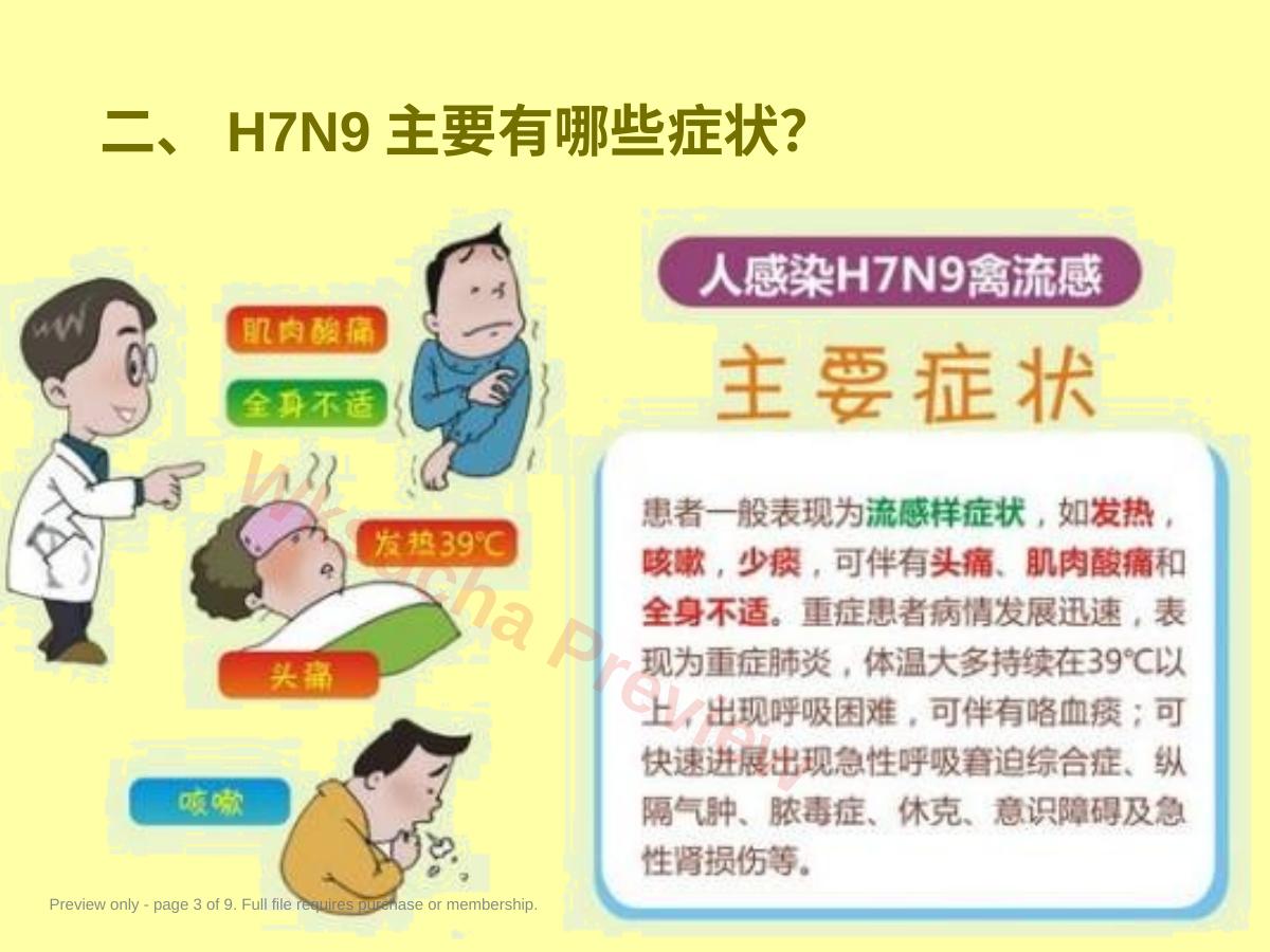 预览第 3 页