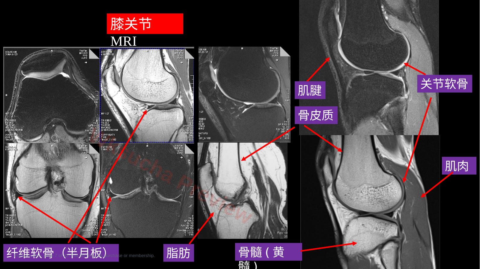 预览第 7 页