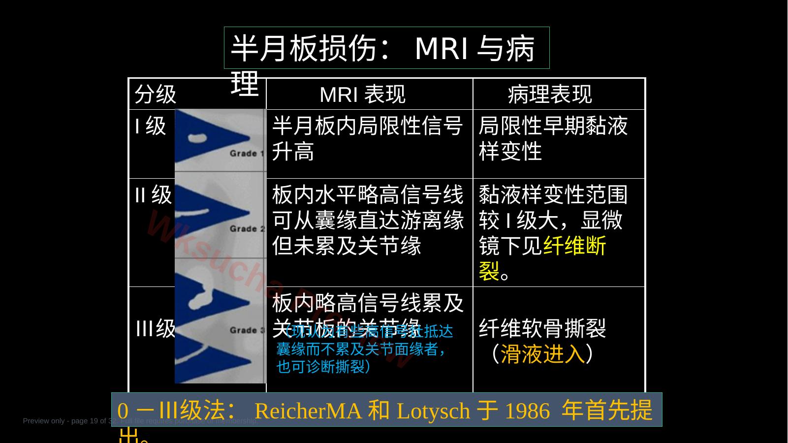 预览第 19 页