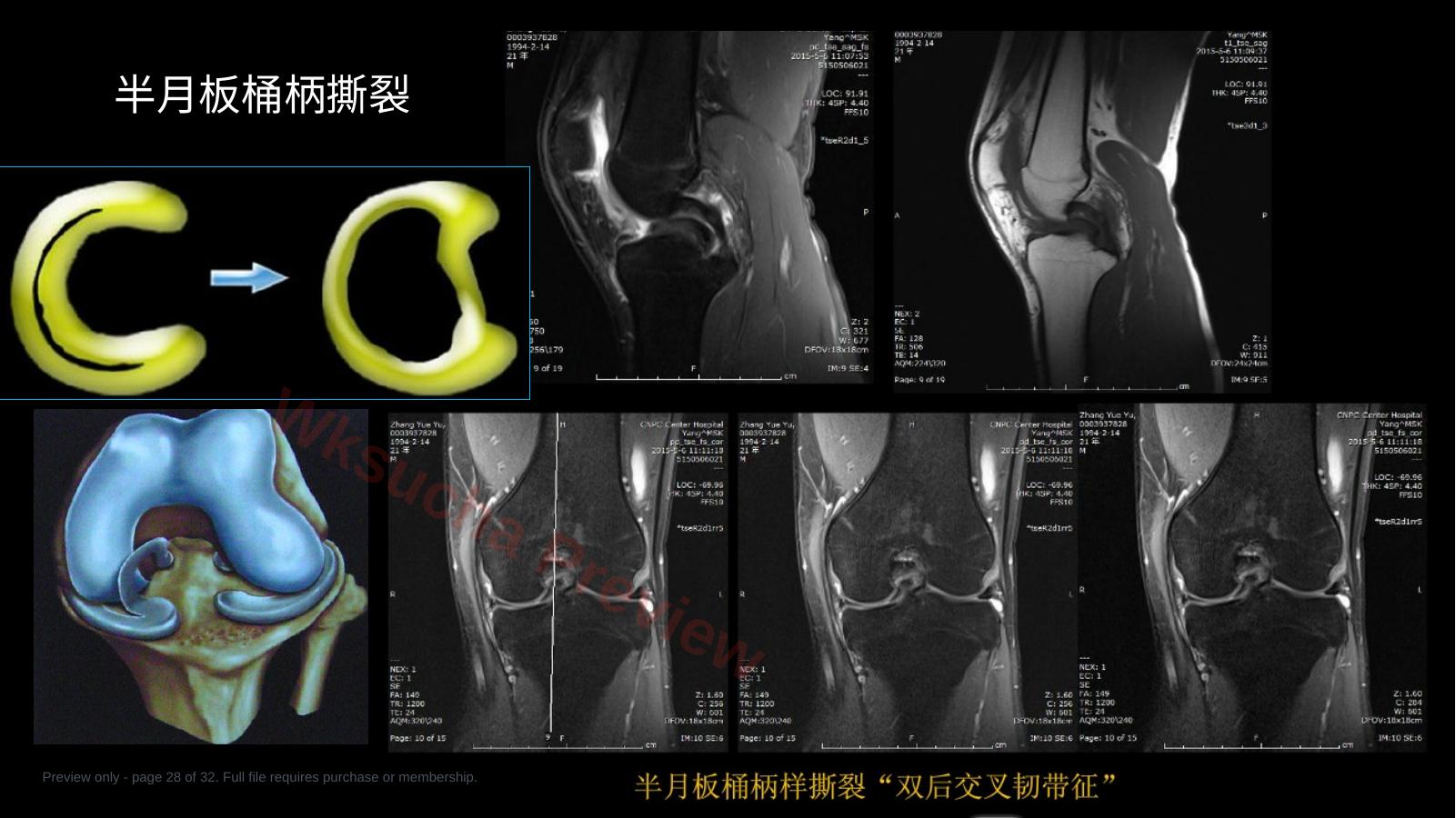 预览第 28 页