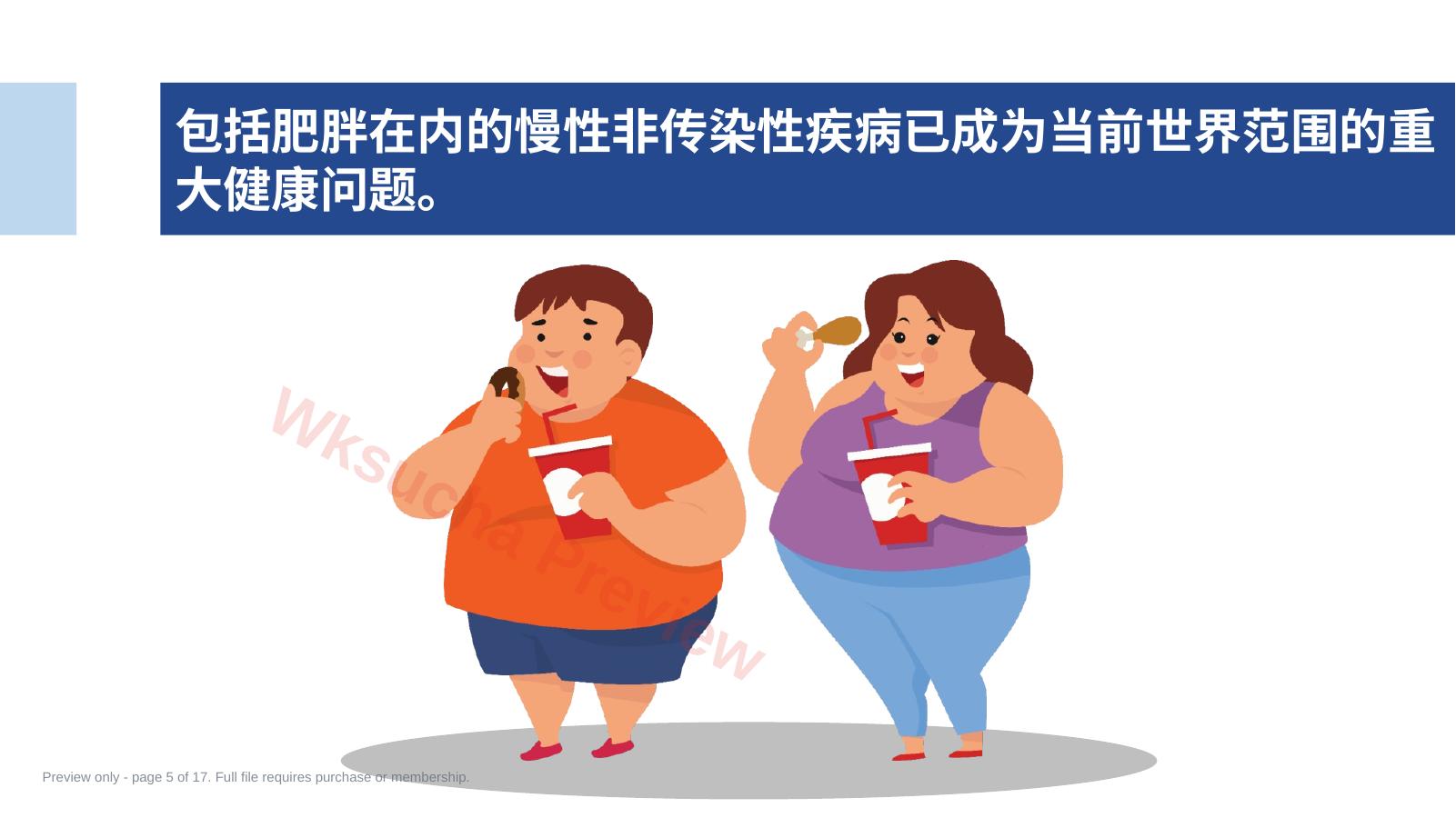 预览第 5 页