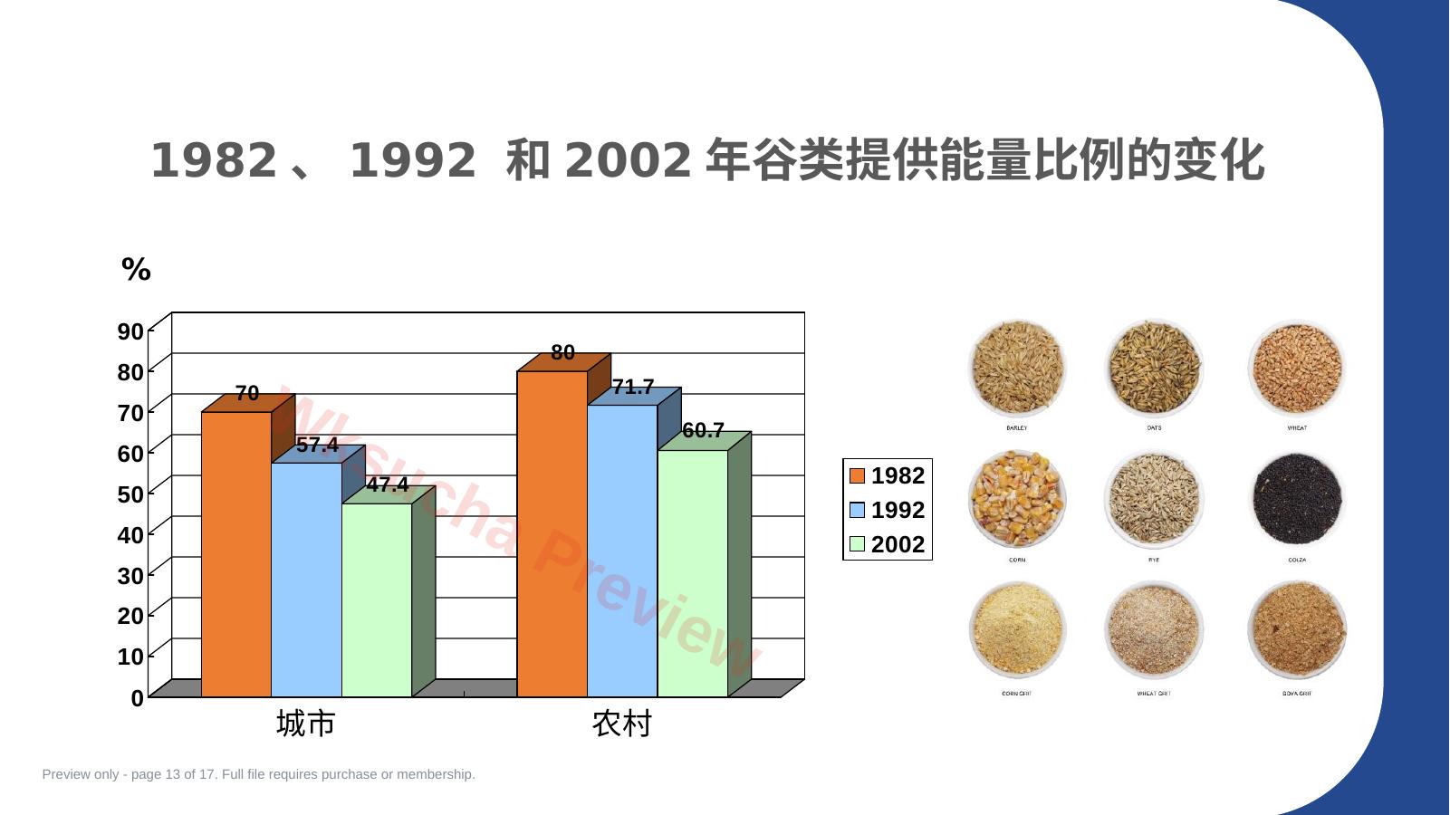 预览第 13 页