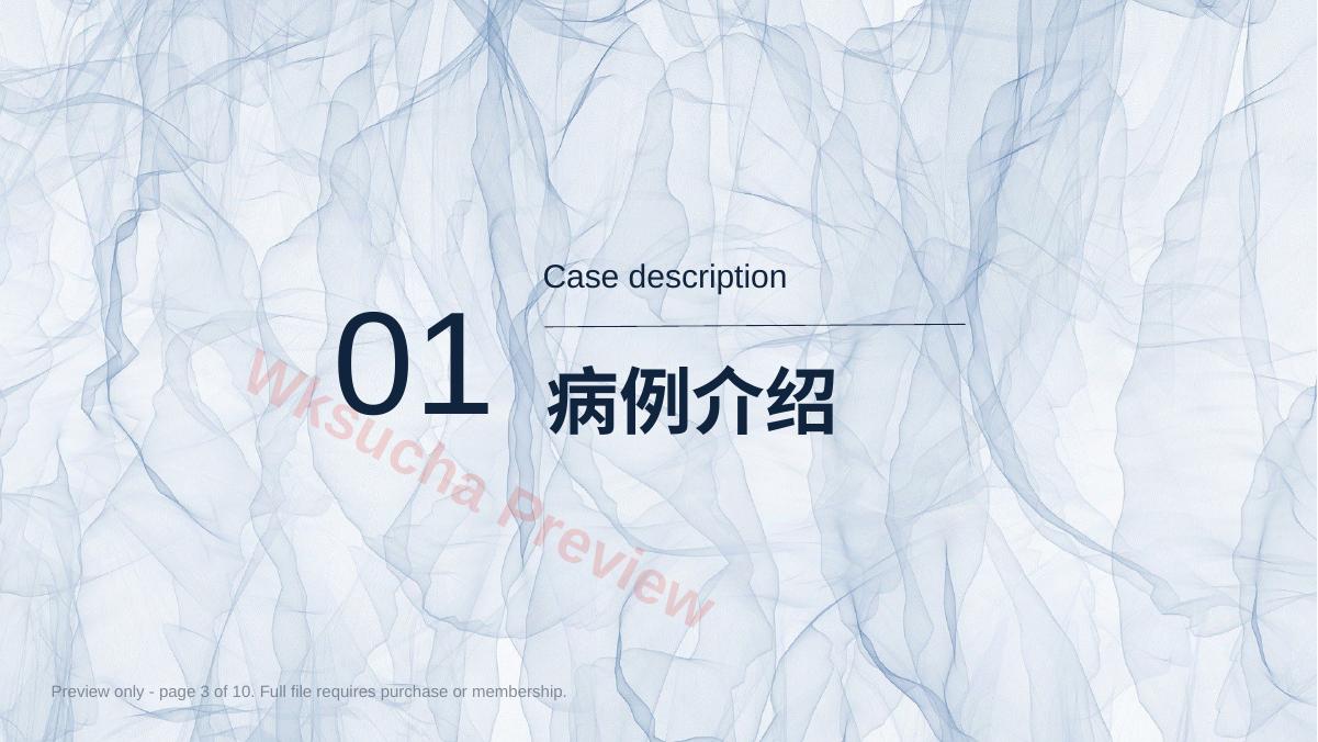 预览第 3 页