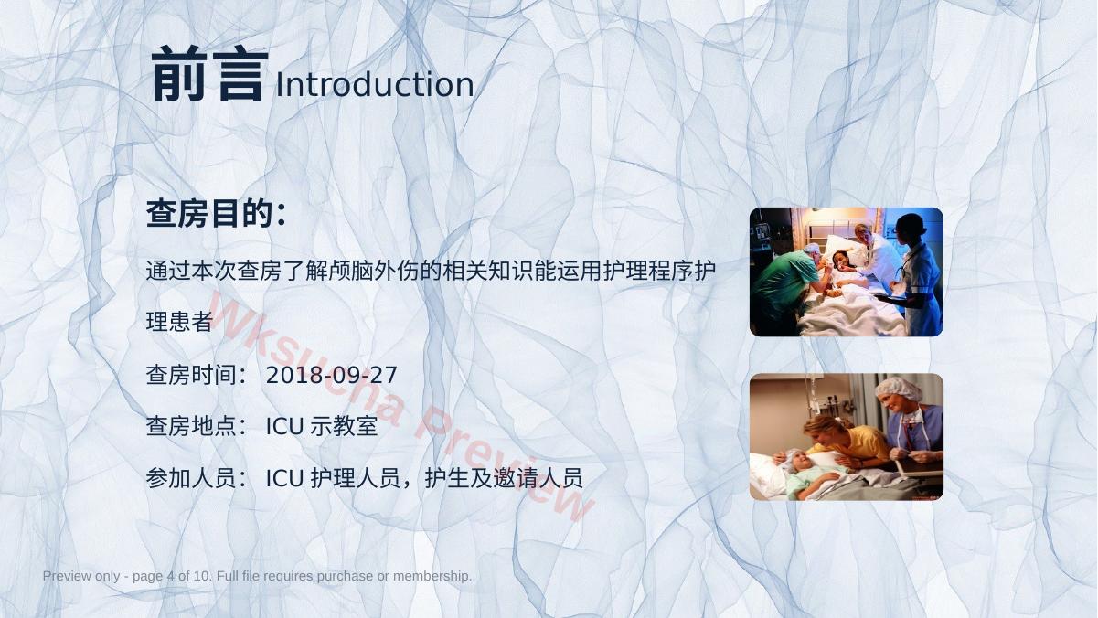 预览第 4 页