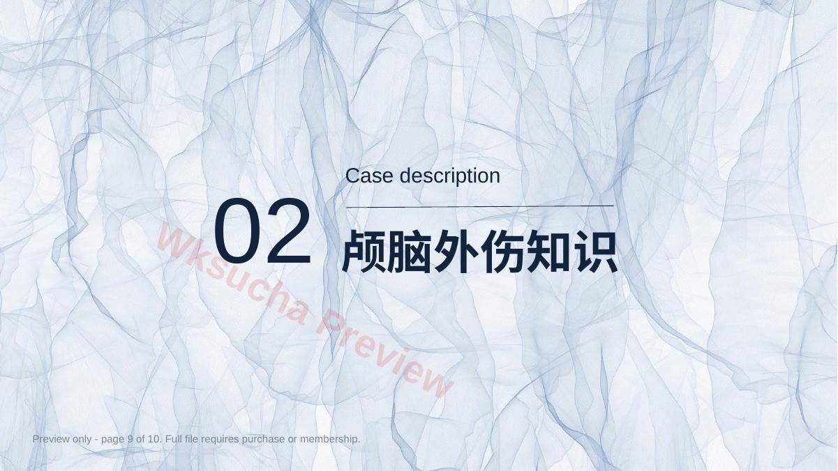 预览第 9 页