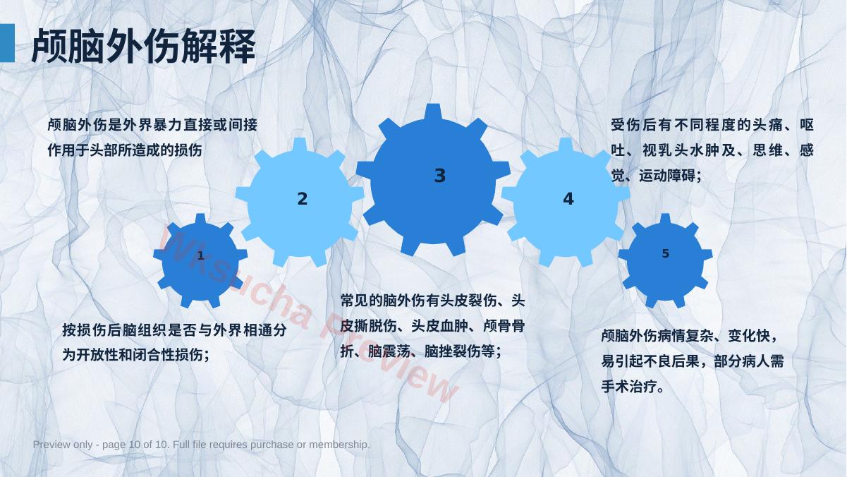 预览第 10 页