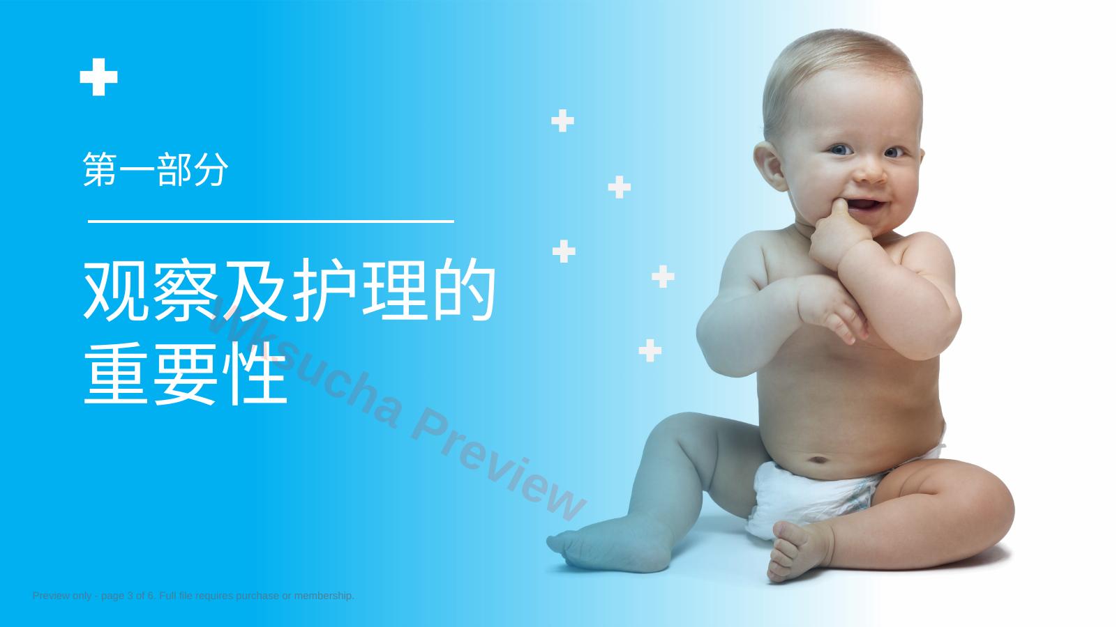 预览第 3 页