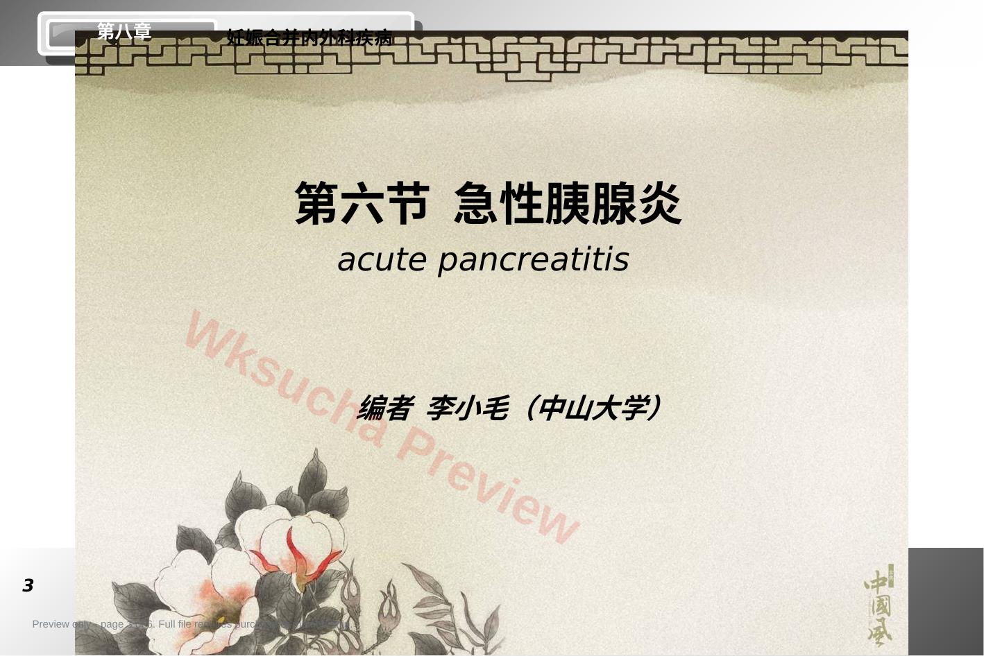 预览第 3 页