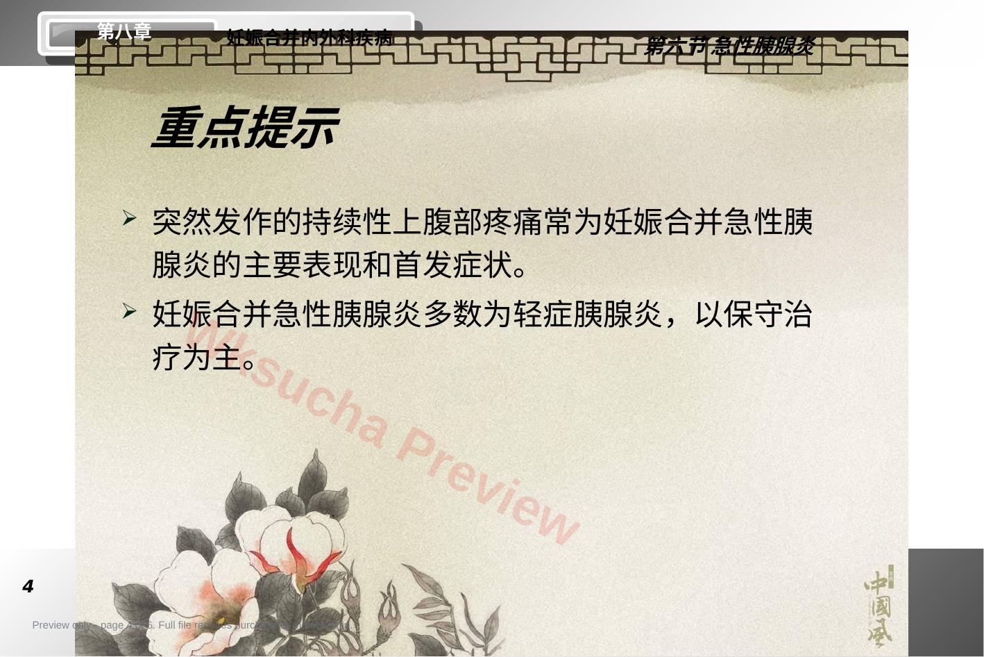预览第 4 页