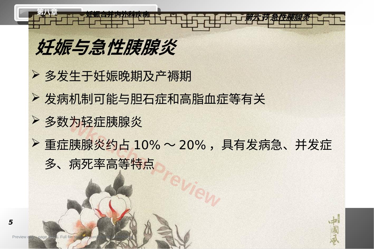 预览第 5 页