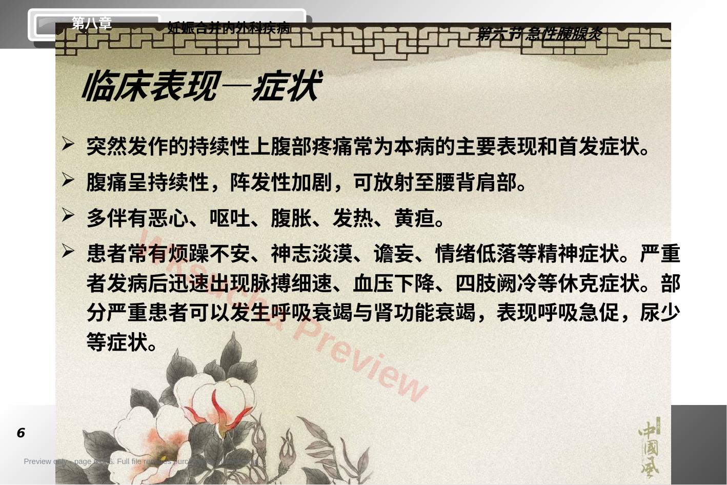 预览第 6 页