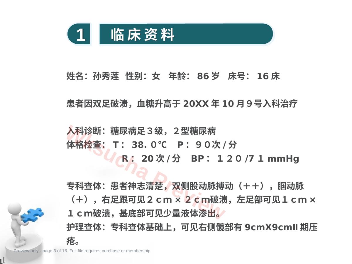 预览第 3 页