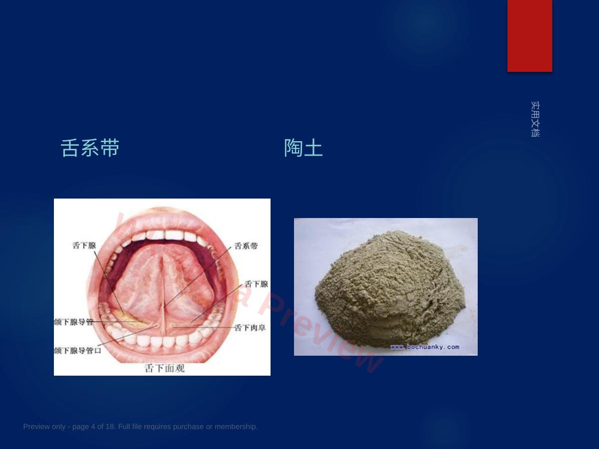 预览第 4 页