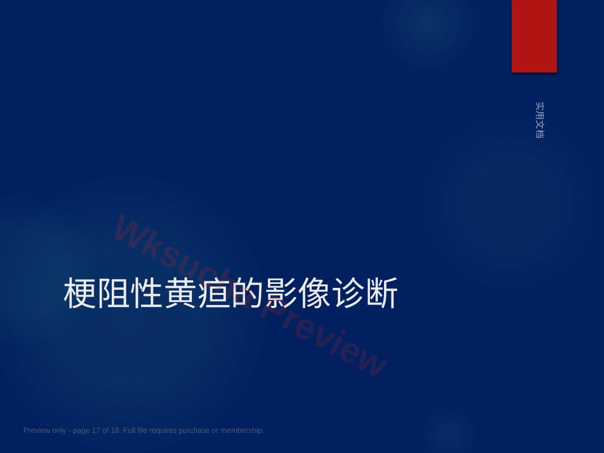 预览第 17 页