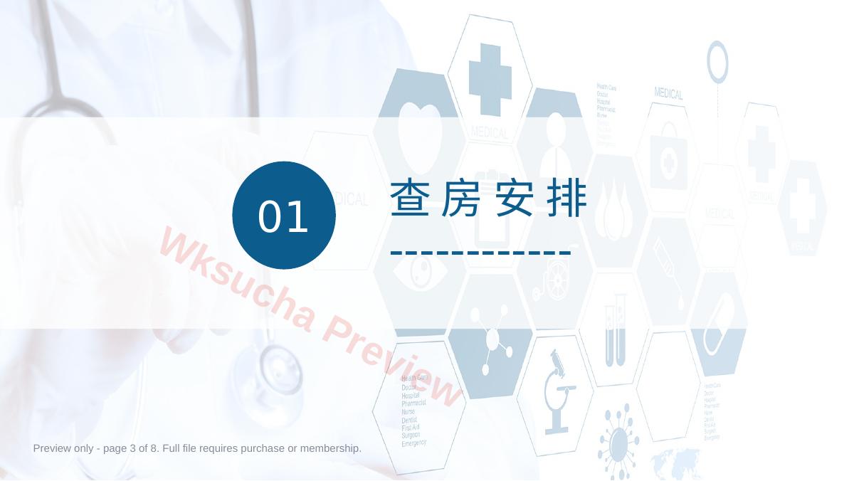 预览第 3 页