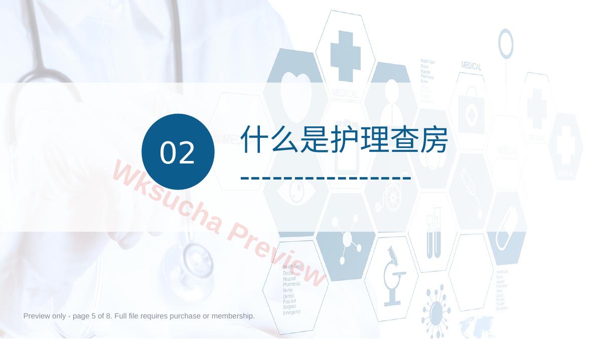 预览第 5 页
