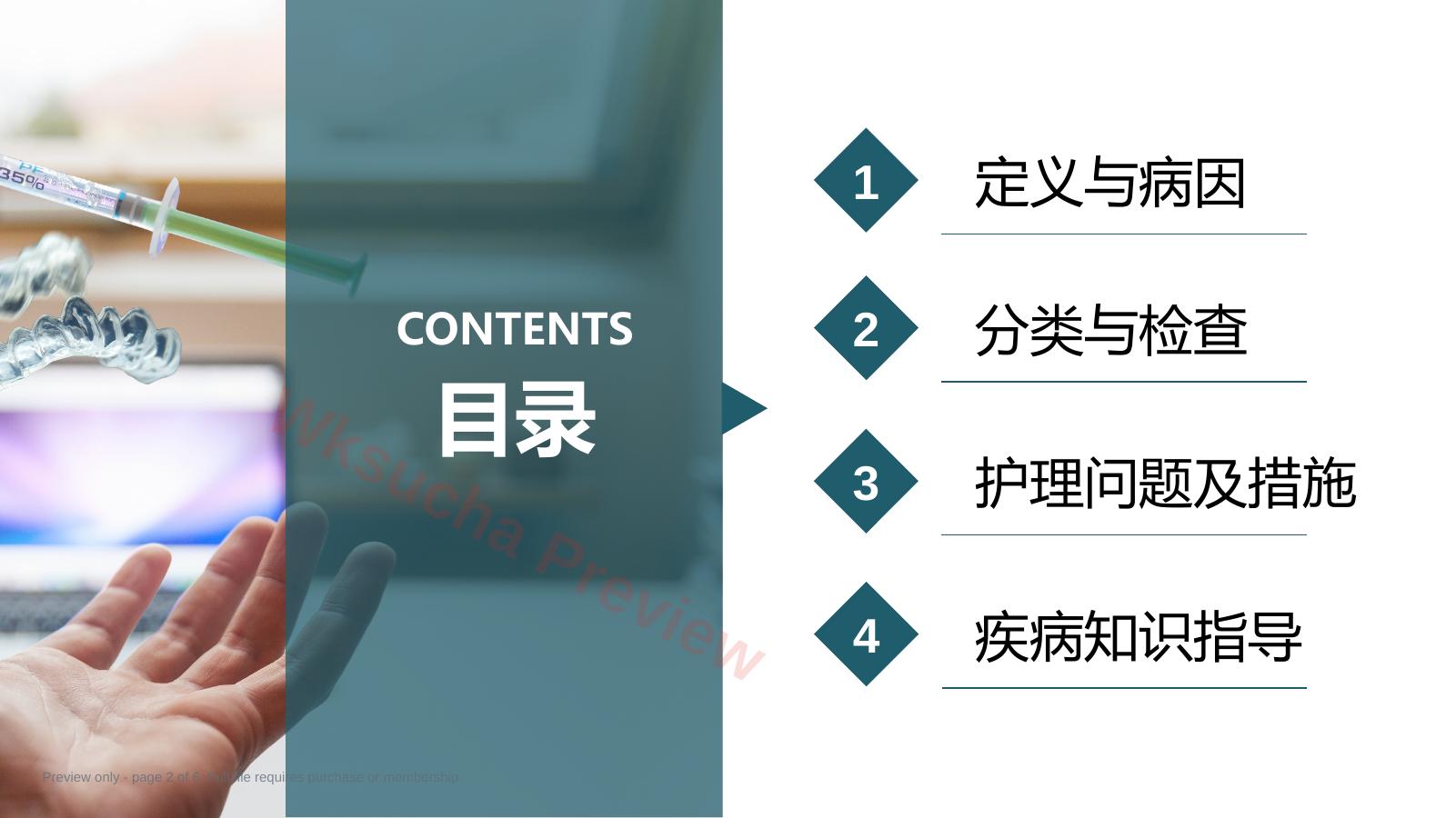 预览第 2 页