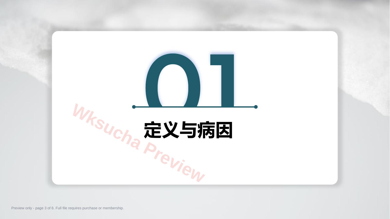 预览第 3 页