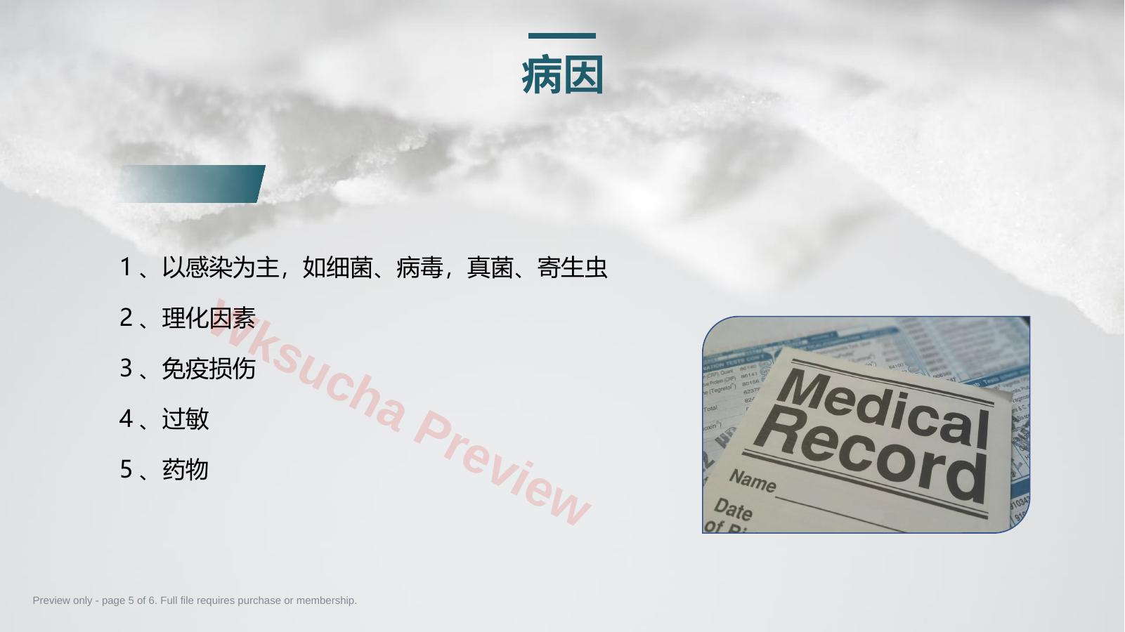 预览第 5 页