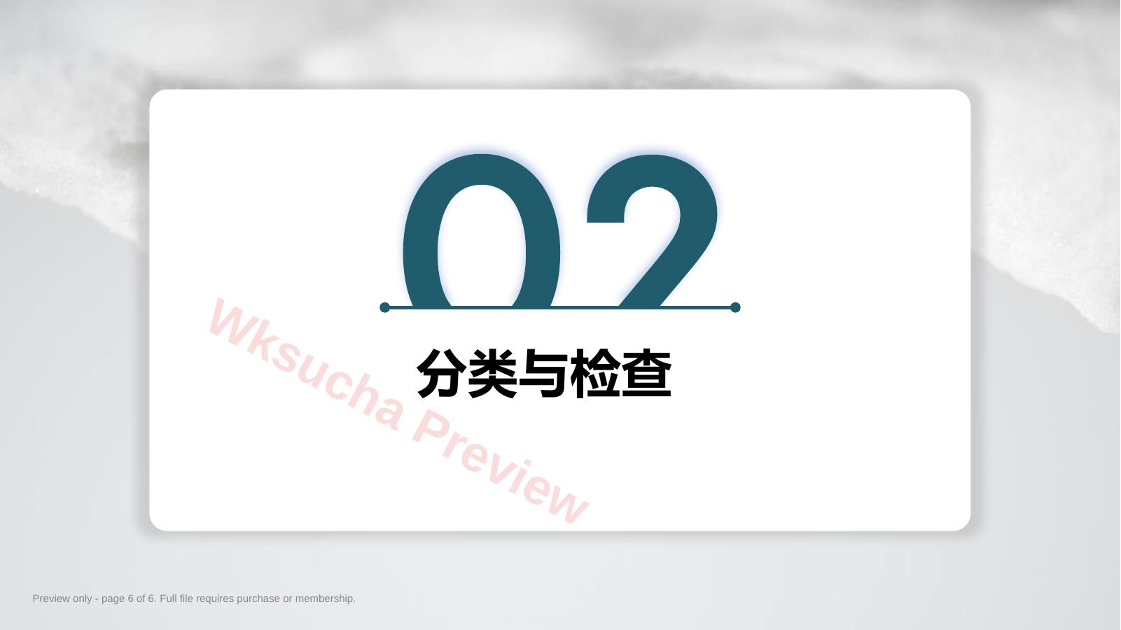 预览第 6 页