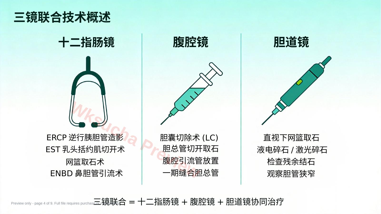 预览第 4 页