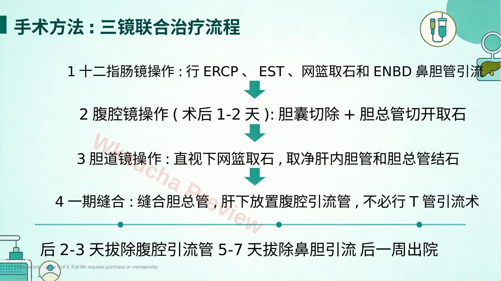 预览第 5 页