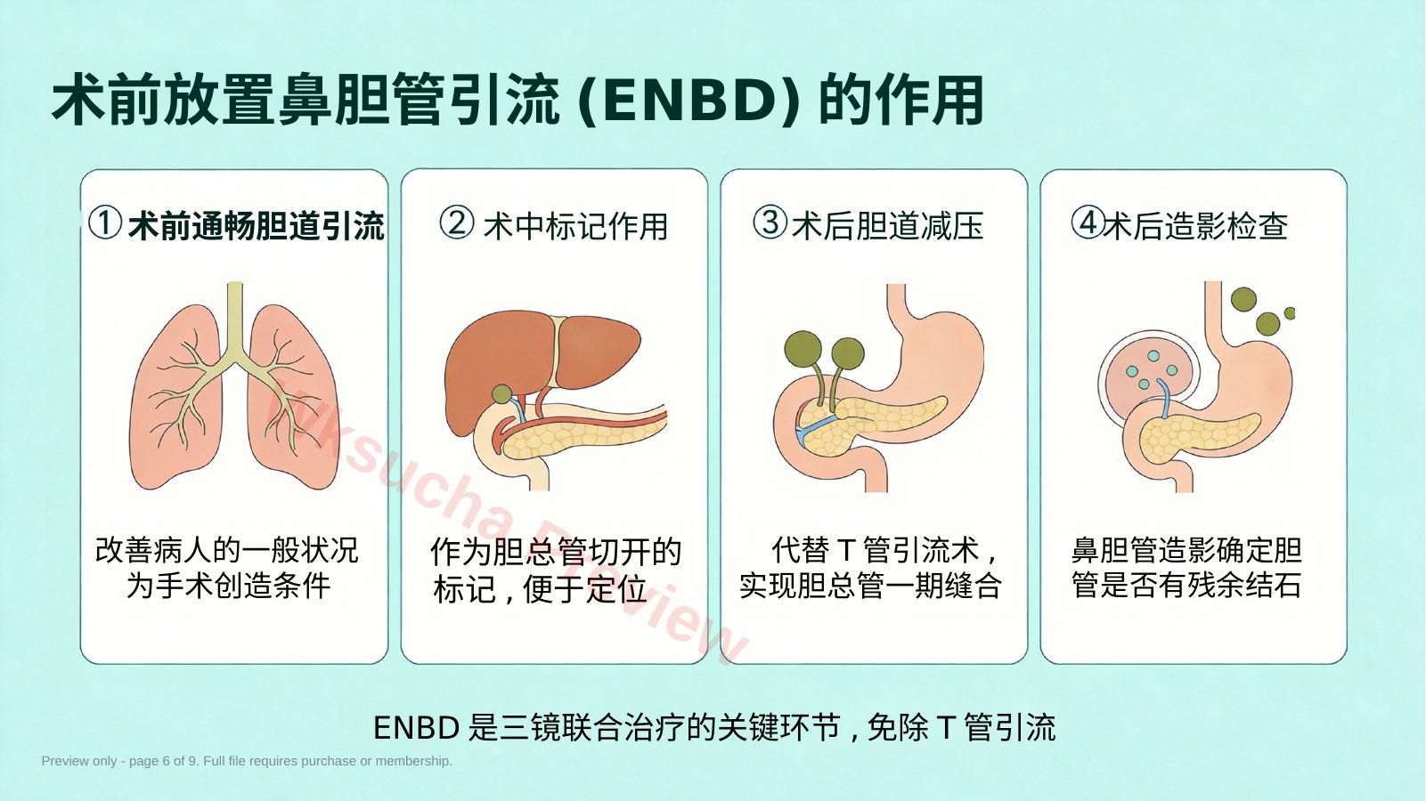 预览第 6 页