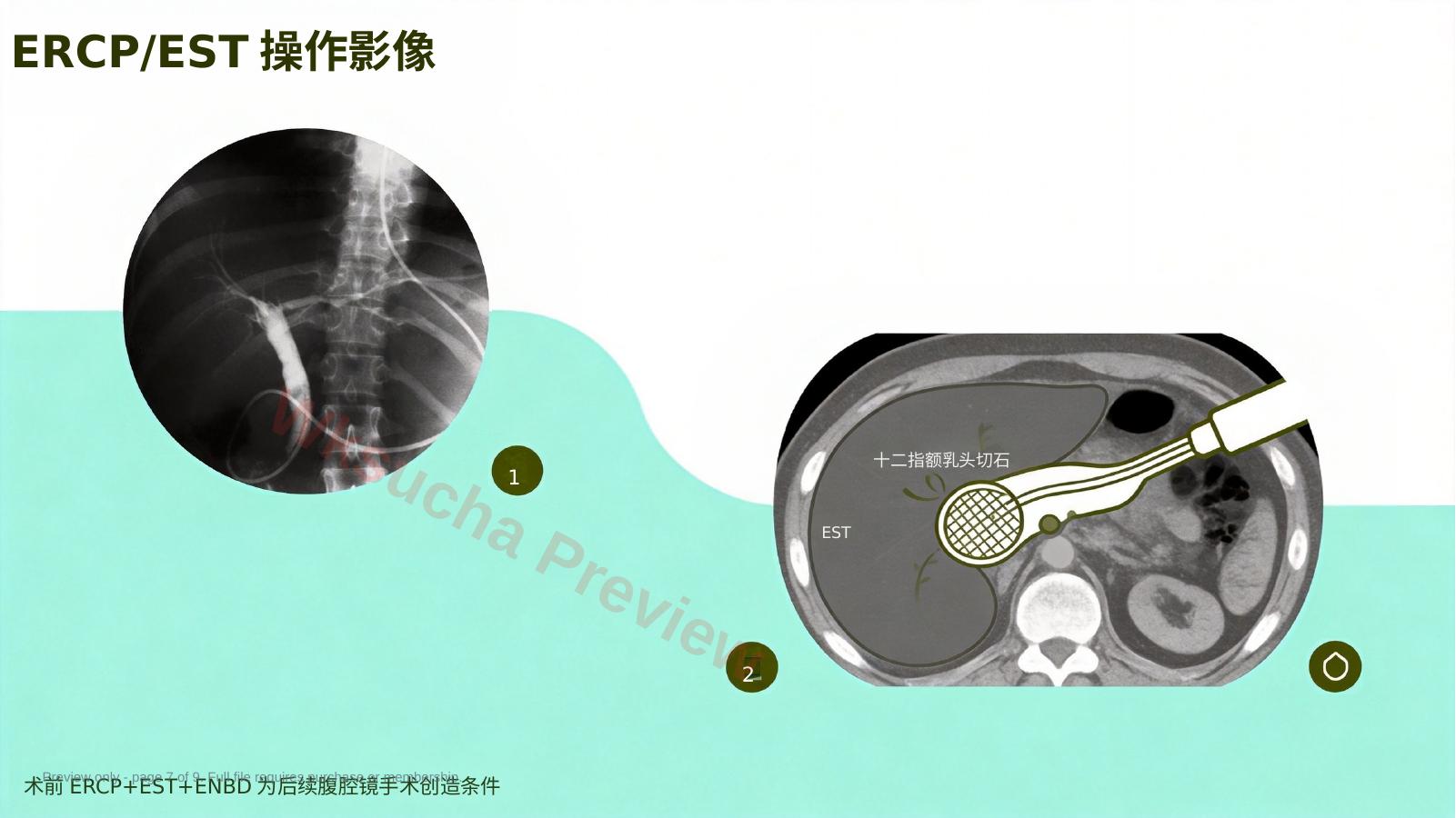 预览第 7 页
