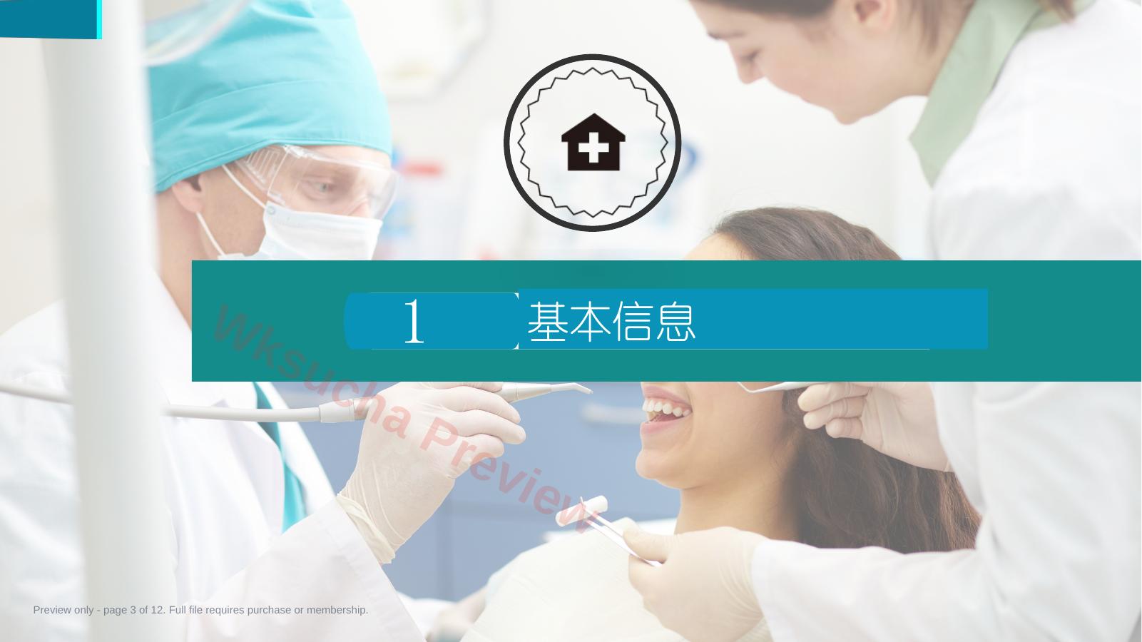 预览第 3 页