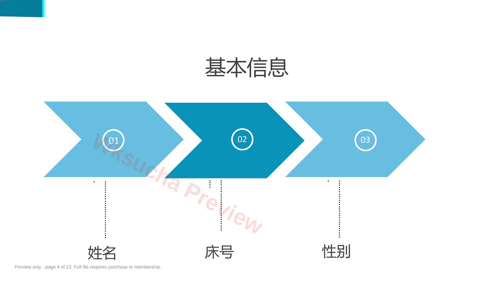 预览第 4 页