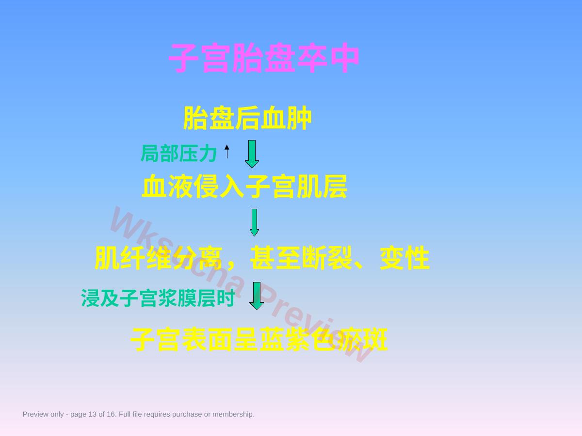 预览第 13 页