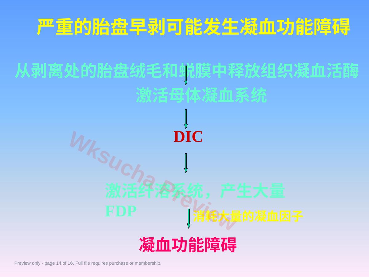 预览第 14 页