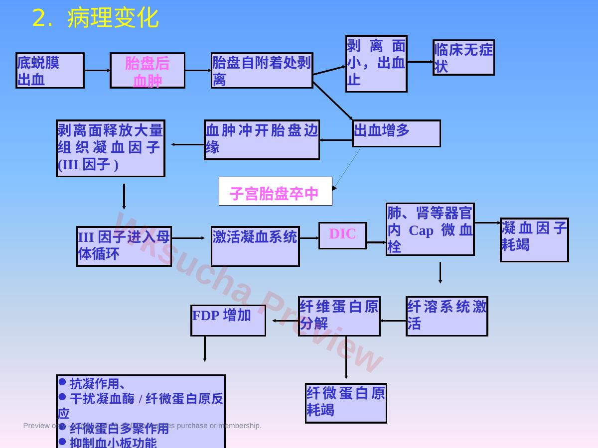 预览第 16 页