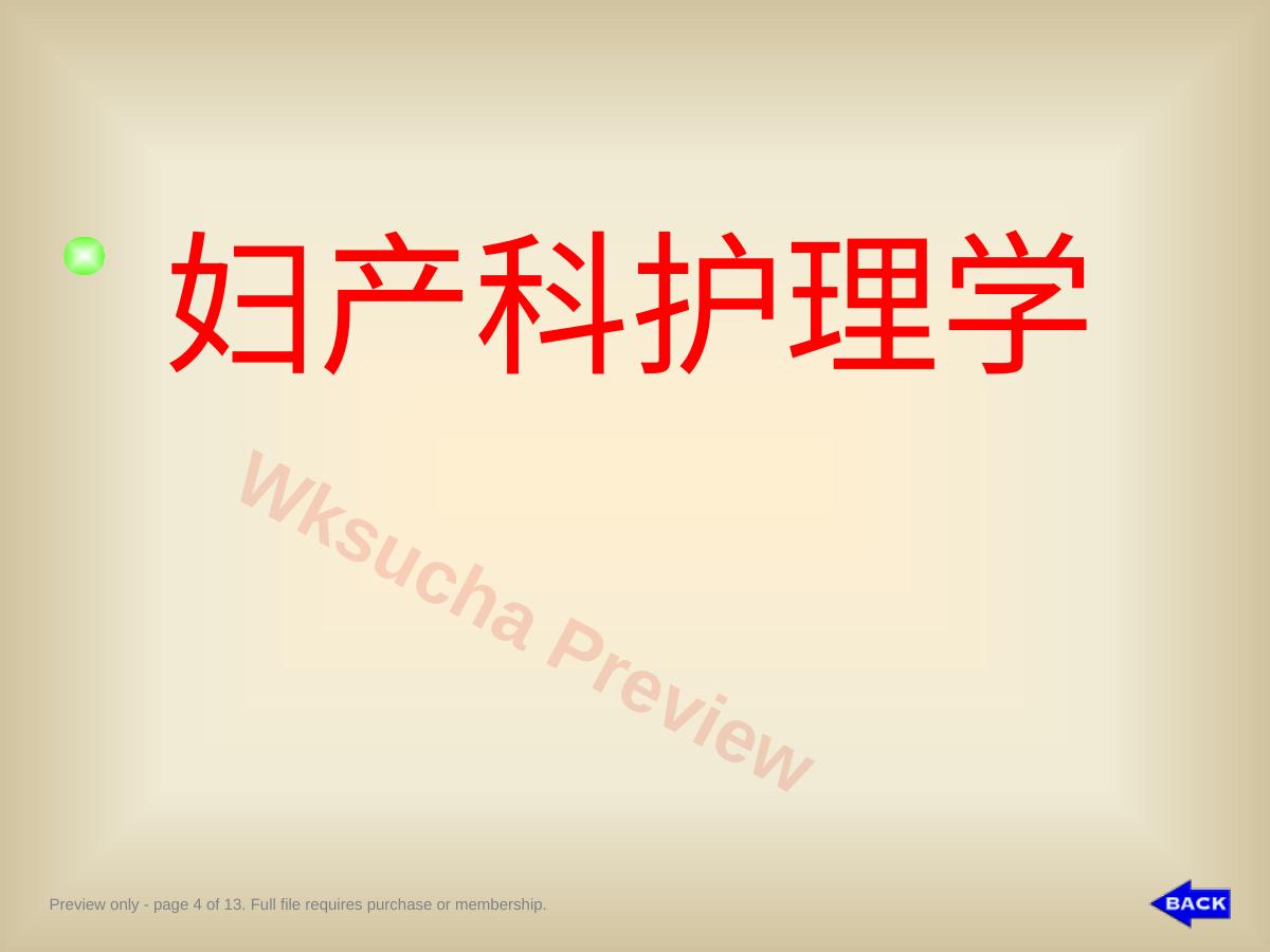 预览第 4 页